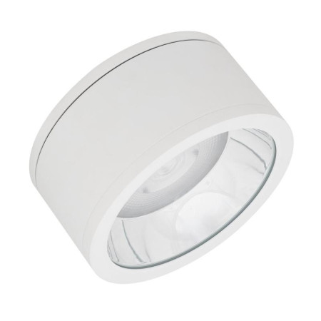 Светильник светодиодный ДПО-45Вт  4000K  IP65 CRI80  угол 36° d250мм белый  DOWNLIGHT SURFACE IP65 DN 250 P 45W 840 36D WT