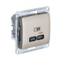 Glossa Титан USB Розетка тип-C 65W высокоскор.заряд. QC PD