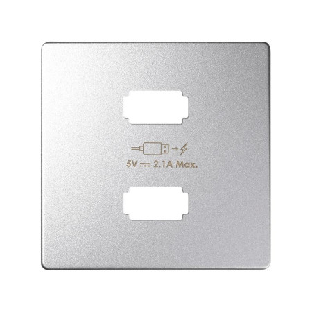 Накладка для зарядного устройства 2xUSB цвета холодный алюминий S82 Detail