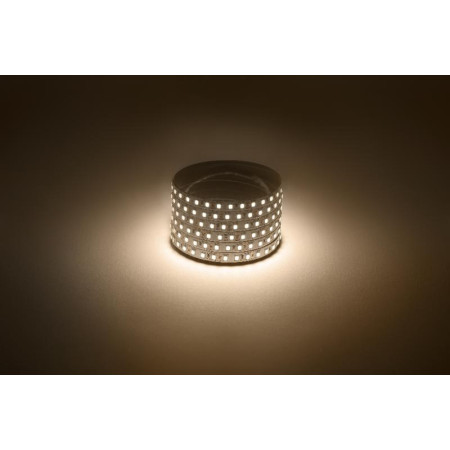 Лента светодиодная 120 диодов IP20 теплый белый цветLS2835-120LED-IP20-WW-eco-5m