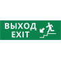 Пиктограмма ДСО-IP65-Н "Выход - лестница вниз"