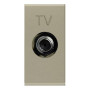 ABB Zenit Шампань Розетка TV единственная, F-разъем, (1 мод)