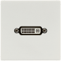 DVI