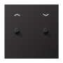 Центральная плата, 1 пост, 2 тумблера,цилиндр металлическое исполнение Dark серия LS