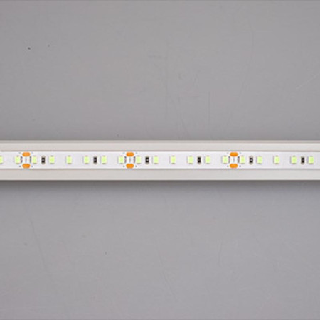 Светодиодная лента RT-A120-8mm 24V Tiffany (9.6 W/m, IP20, 2835, 5m) (Arlight, -)