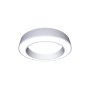 Светильник светодиодный подвесной ДСО32-60-101 Ring 840