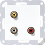 2x Cinch Audio (RCA) / Composite Video