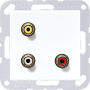2x Cinch Audio (RCA) / Composite Video