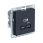 AtlasDesign Карбон USB Розетка тип-C 65W высокоскоростной заряд QC PD