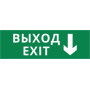 Пиктограмма ДСО-IP65-Н "Выход - вниз"