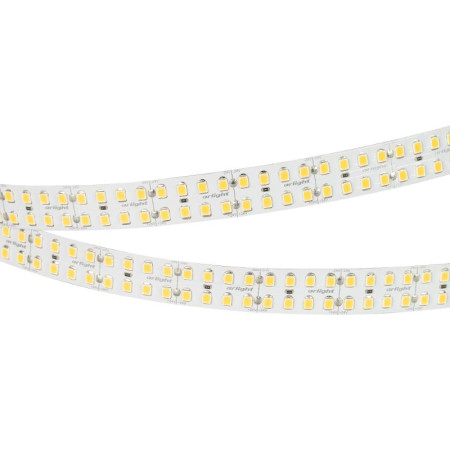 Лента светодиодная RT-5000-2835-320 24V Cool 8K (15mm, 24W/m, IP20) (arlight, -)