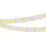 Лента светодиодная RT-5000-2835-320 24V Cool 8K (15mm, 24W/m, IP20) (arlight, -)