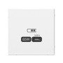 ArtGallery Белый Розетка USB тип-С 65Вт высокоскор.заряд. QC, PD, механизм