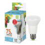 Лампа светодиодная LED-R63-standard 8Вт 230В Е27 4000К 720Лм