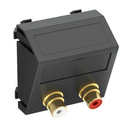Мультимедийная рамка Audio-Cinch Modul45 (черный) (MTS-2R F SWGR1)