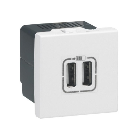 Mosaic USB розетка для зарядки двойная, цвет белый
