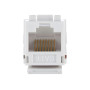 Механизм розетки компьютерной RJ-45, кат.6, UTP модуль (8 контакта) LK45