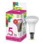 Лампа светодиодная LED-R50-standard 5Вт 230В Е14 6500К 450Лм