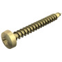 Винт Golden-Sprint 5x30mm (4758T 5.0x30)