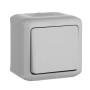 Quteo Серый Выключатель 1-клавишный IP44 10А