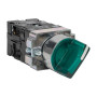 Переключатель ANC-22 2P зеленый с подсветкой 220В NO+NC  PROxima