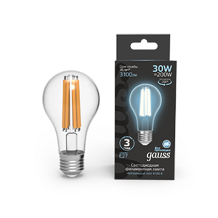 Лампа светодиодная Filament А70 30W 3100lm 4100К Е27 LED 1/10/40