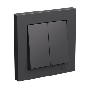 AtlasDesign Базальт Выключатель 2-клавишный, сх.5, 10АХ, в сборе