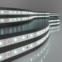Лента светодиодная 60Led 4,8W IP20 6500K холодный белый 2835 12V 5 м в упак