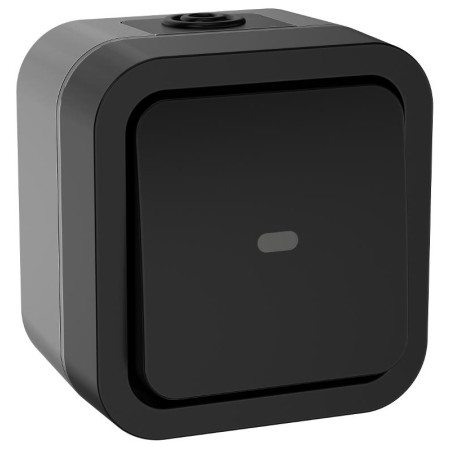 TORS Переключатель однокл. с ин. 10А IP55 TS102 графит