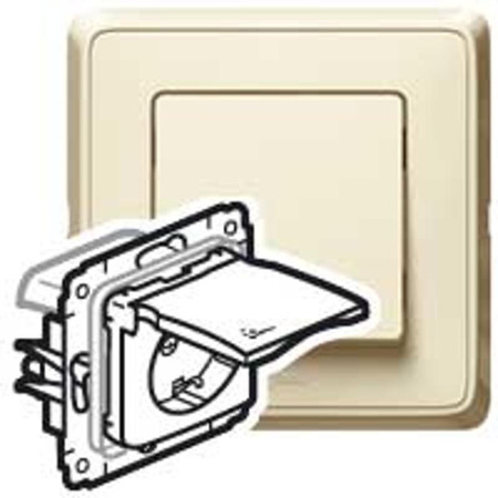 Cariva Сл. кость Розетка с/з IP44