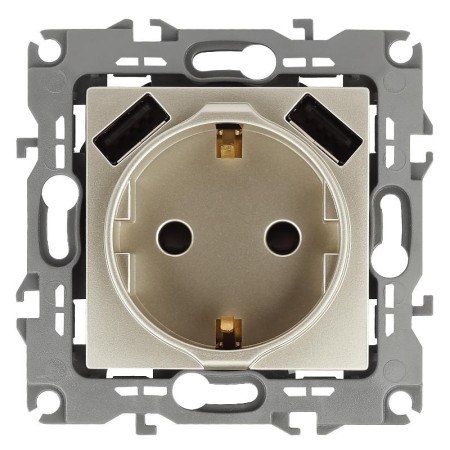 12-4109-04 Розетка 2P+E 16A-250В, штор. с 2xUSB 5В-3А, 12, шампань (10/100/2000)
