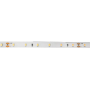 Лента светодиодная  PLS PRO-5 2835/ 60-24V 4000K  6W/m IP20-5m